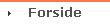 Forside